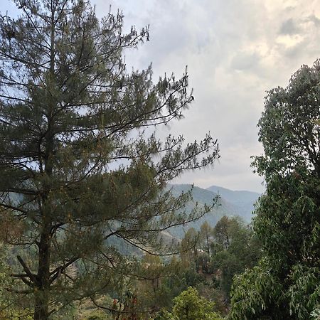 Himwanderer Camps & Cottages Pangot Nainital Dış mekan fotoğraf