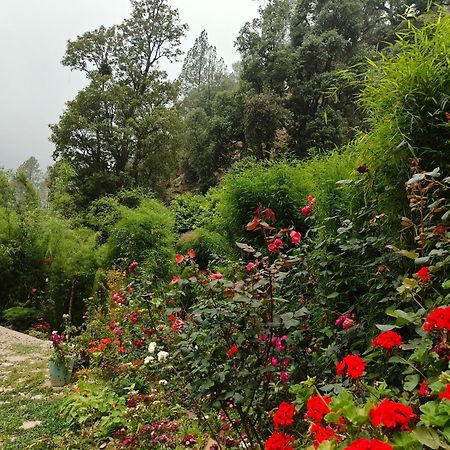 Himwanderer Camps & Cottages Pangot Nainital Dış mekan fotoğraf