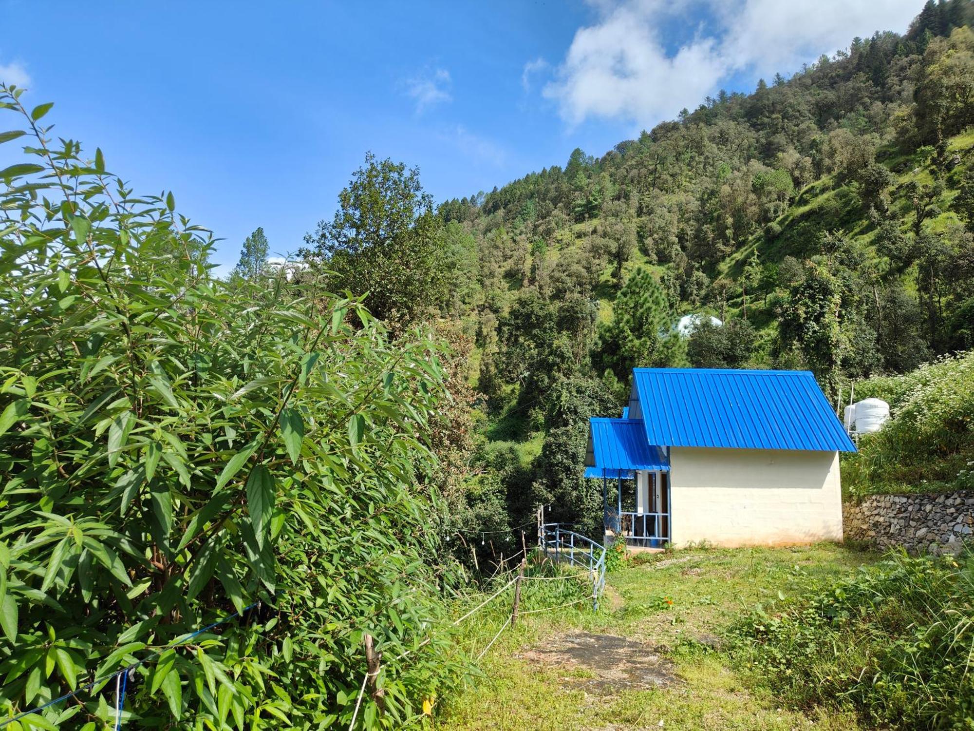 Himwanderer Camps & Cottages Pangot Nainital Dış mekan fotoğraf
