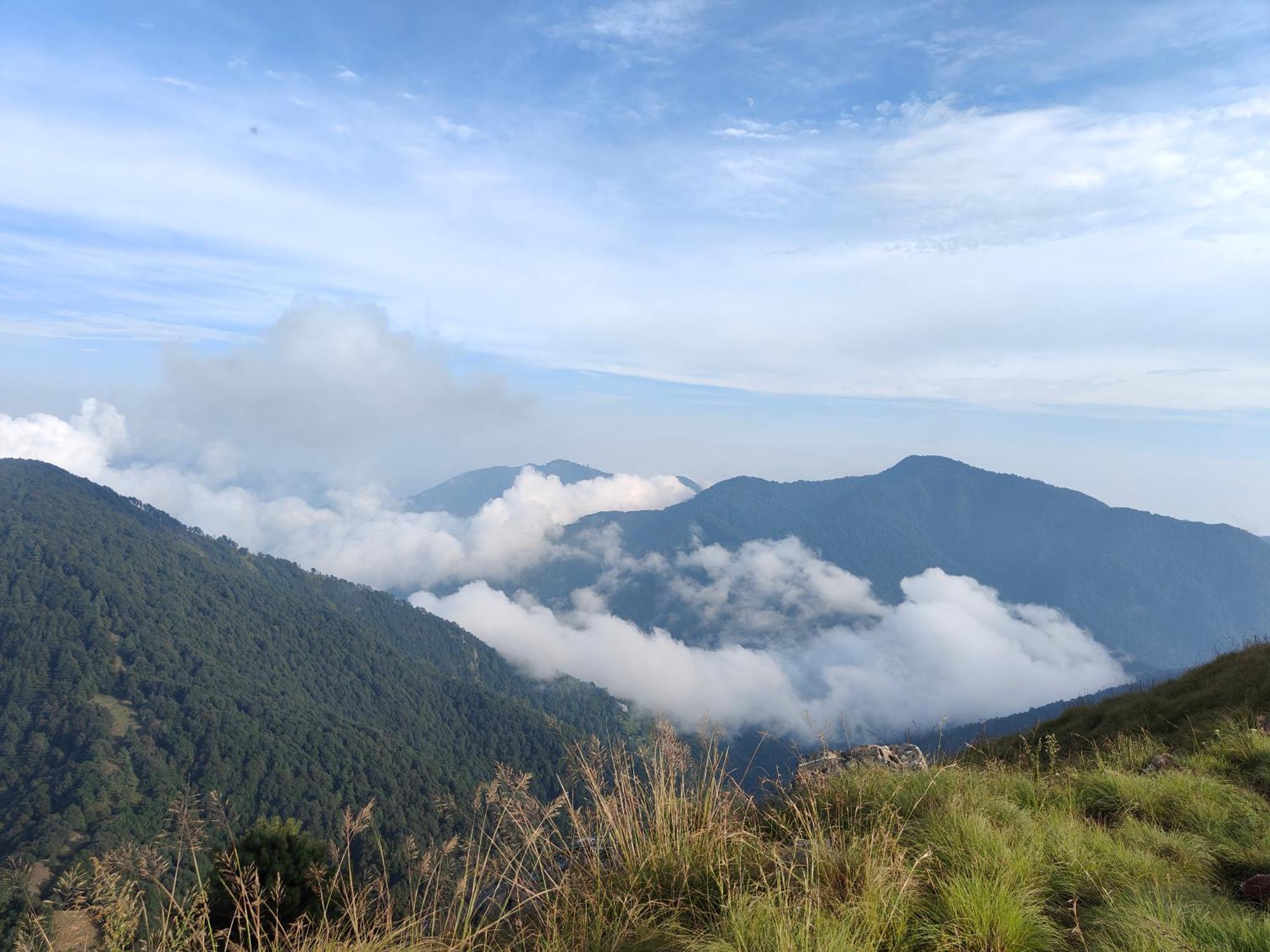 Himwanderer Camps & Cottages Pangot Nainital Dış mekan fotoğraf