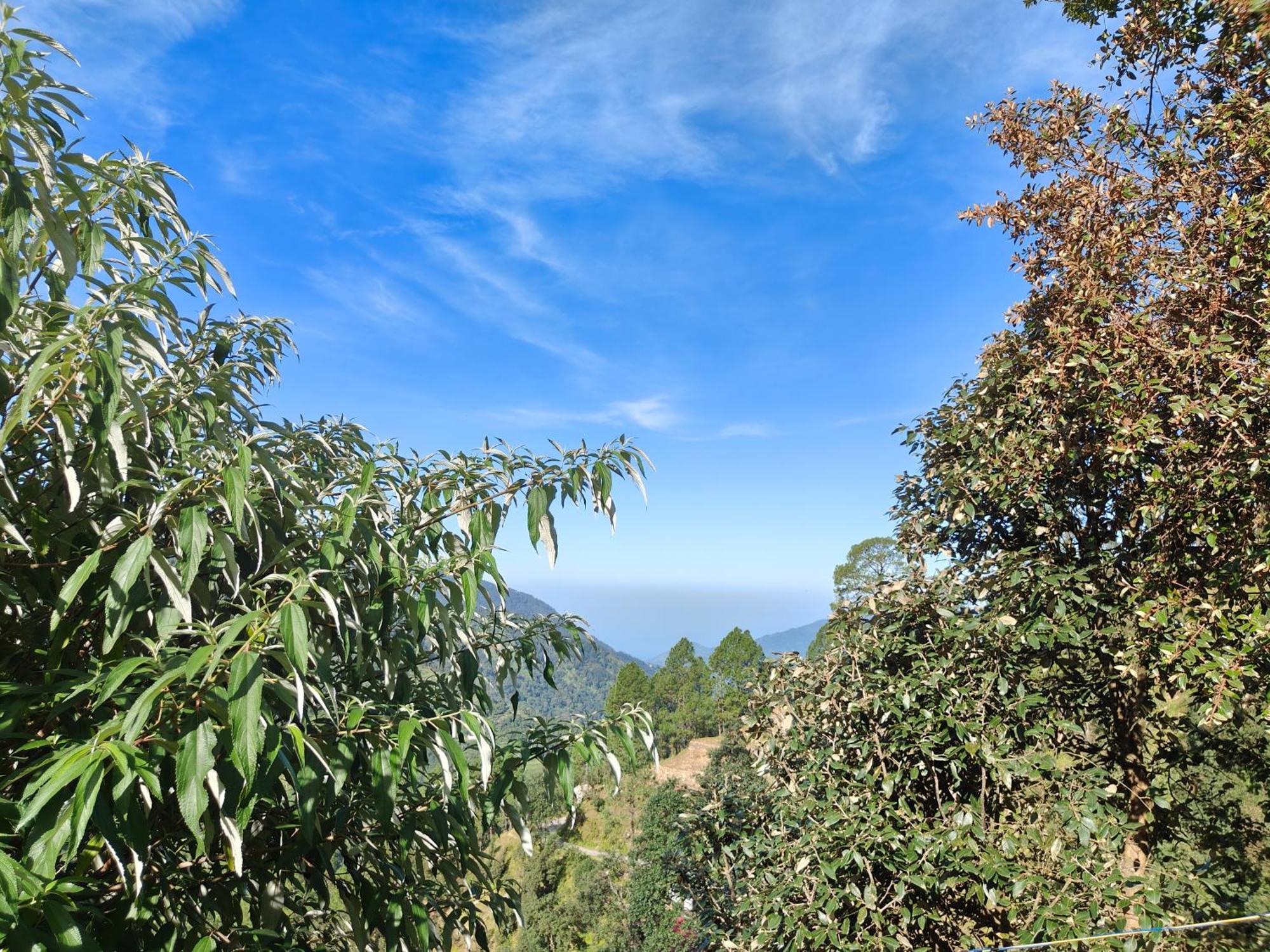 Himwanderer Camps & Cottages Pangot Nainital Dış mekan fotoğraf
