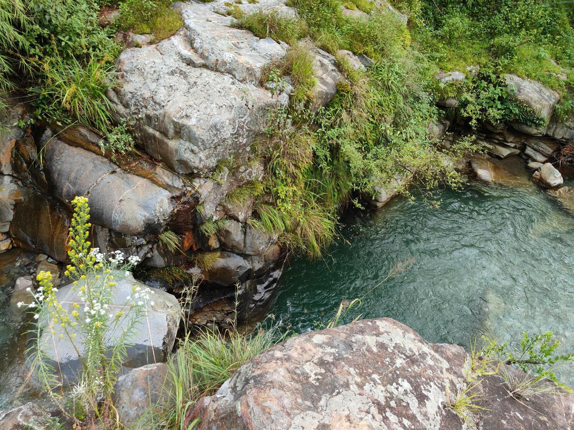 Himwanderer Camps & Cottages Pangot Nainital Dış mekan fotoğraf