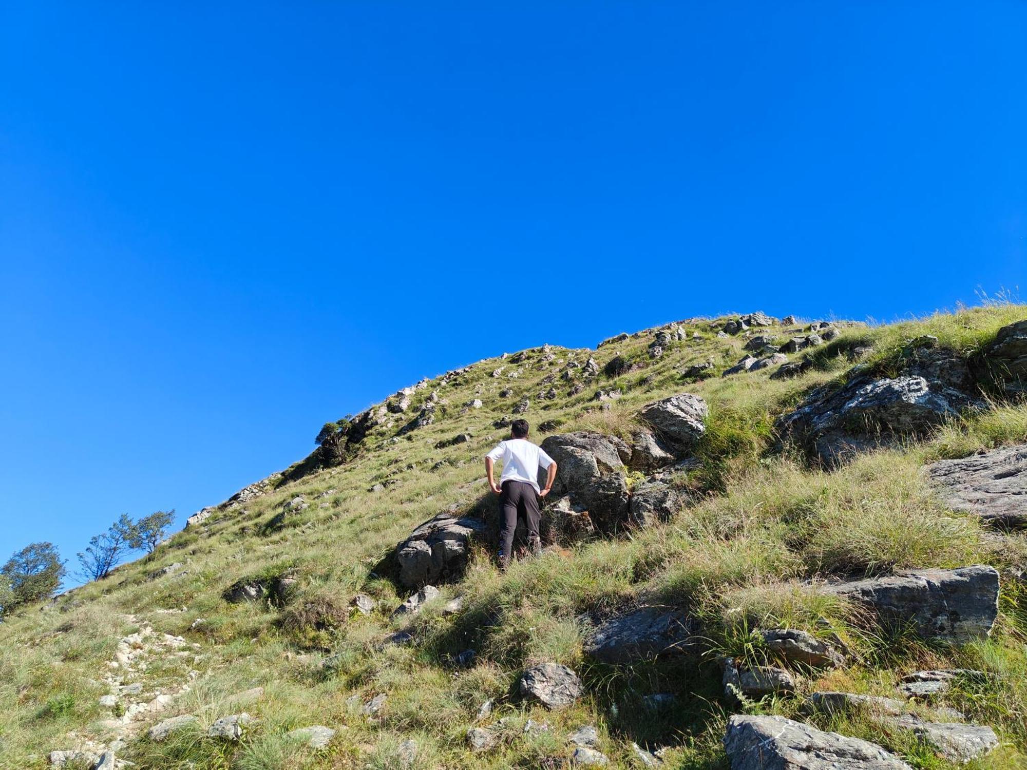 Himwanderer Camps & Cottages Pangot Nainital Dış mekan fotoğraf