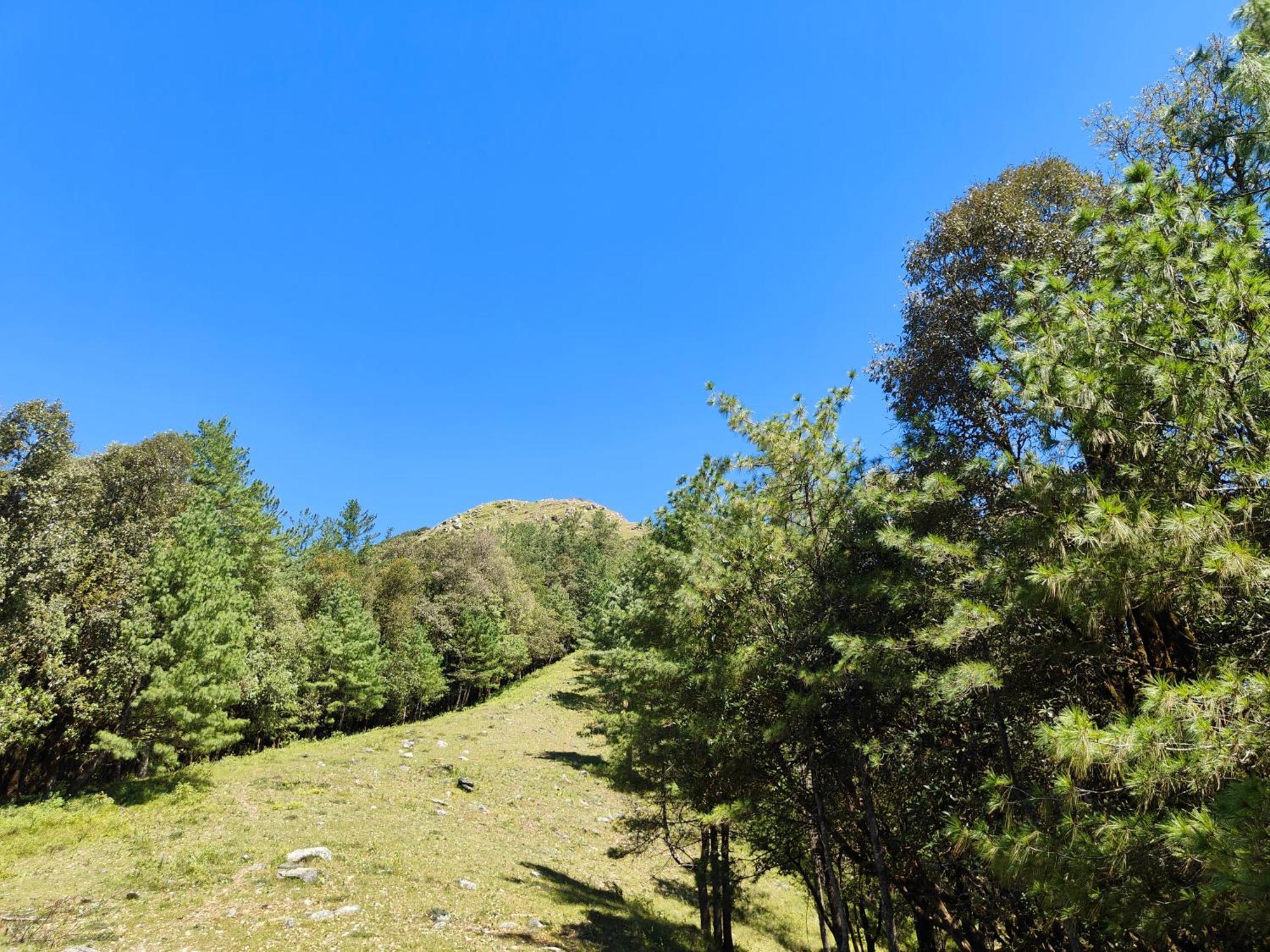 Himwanderer Camps & Cottages Pangot Nainital Dış mekan fotoğraf