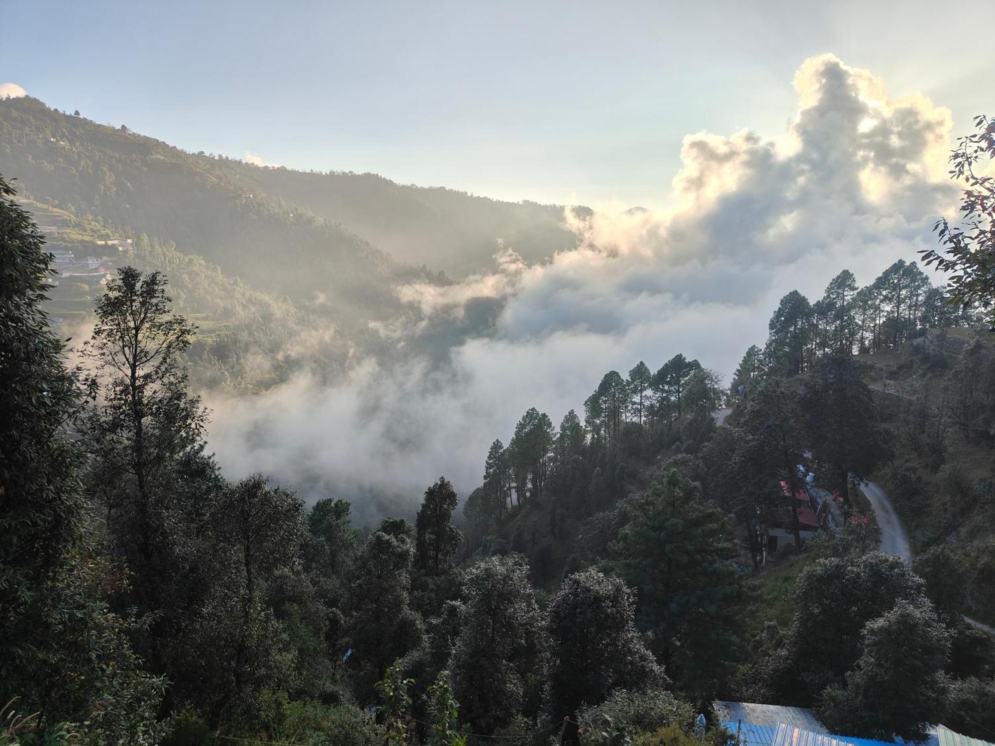 Himwanderer Camps & Cottages Pangot Nainital Dış mekan fotoğraf