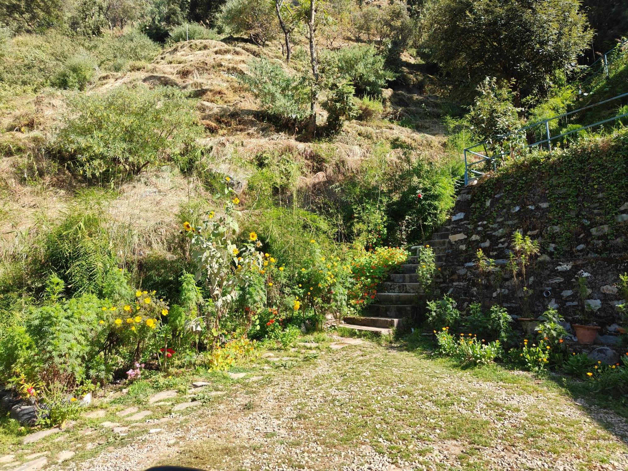Himwanderer Camps & Cottages Pangot Nainital Dış mekan fotoğraf