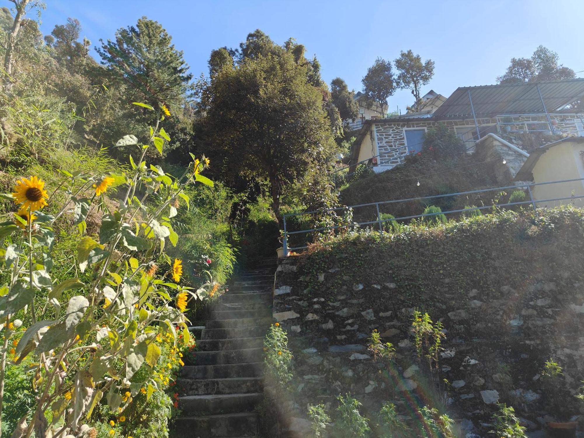 Himwanderer Camps & Cottages Pangot Nainital Dış mekan fotoğraf