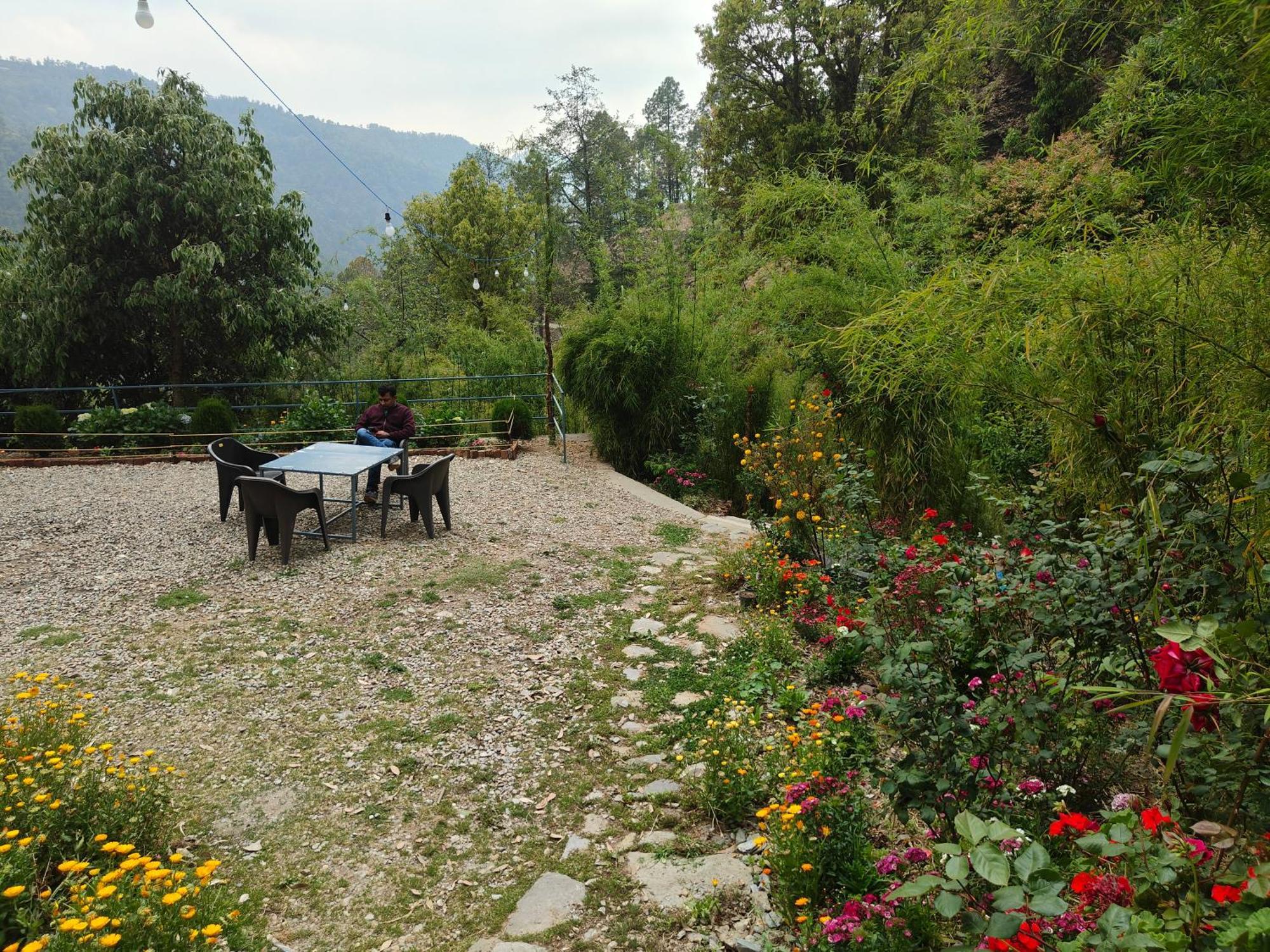 Himwanderer Camps & Cottages Pangot Nainital Dış mekan fotoğraf