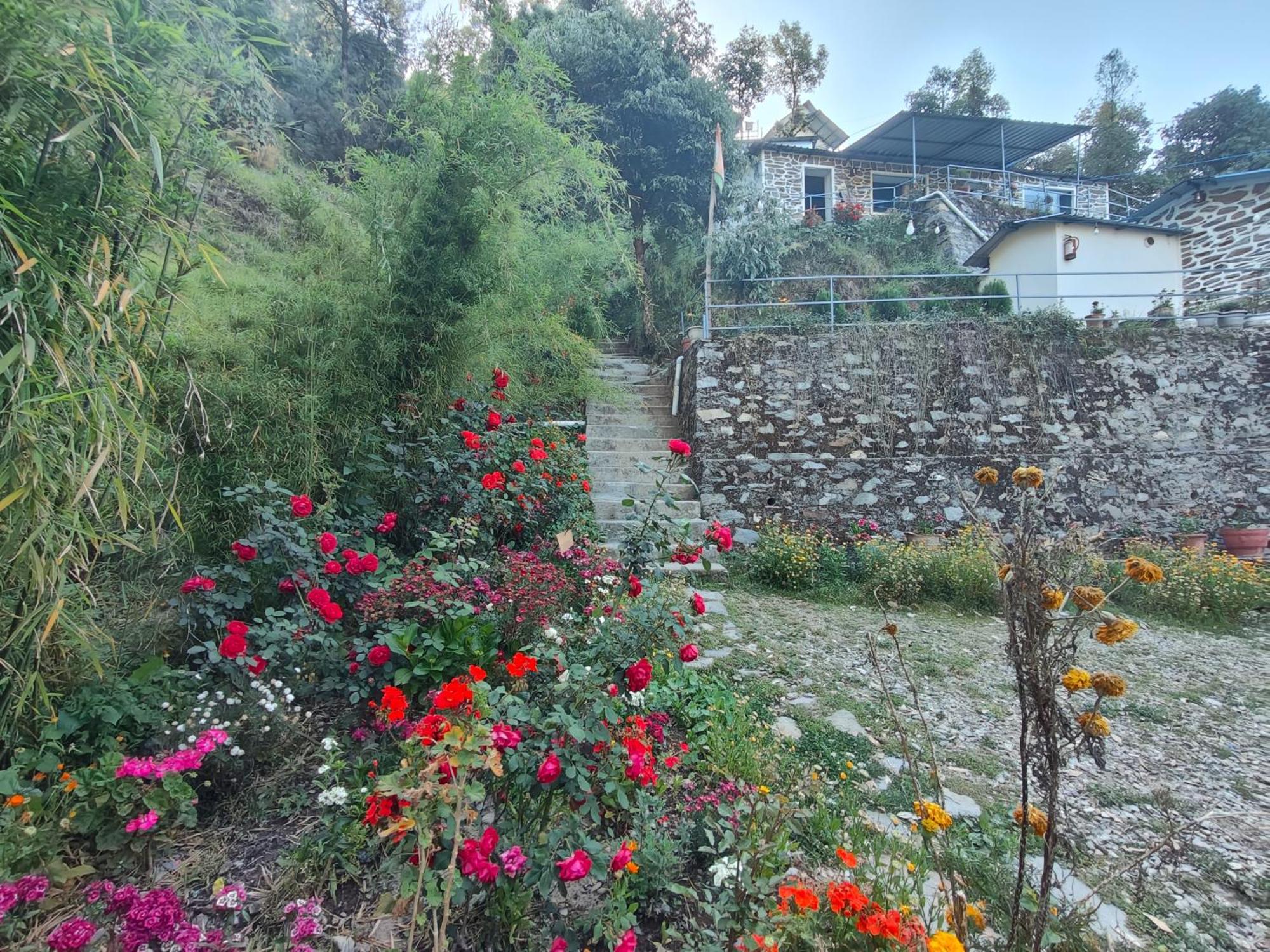 Himwanderer Camps & Cottages Pangot Nainital Dış mekan fotoğraf